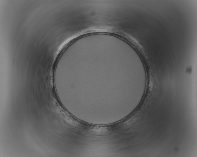 X0000114721174200911181357