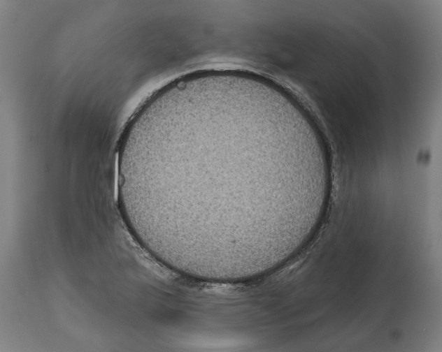 X0000114721175200911181357