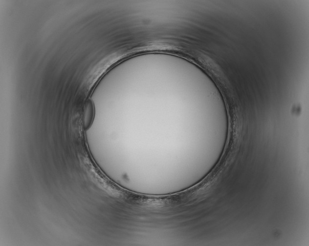 X0000114721177200911181357