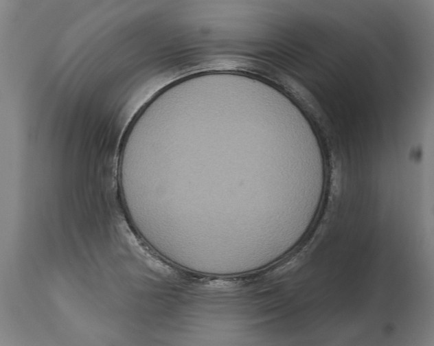 X0000114721178200911181357