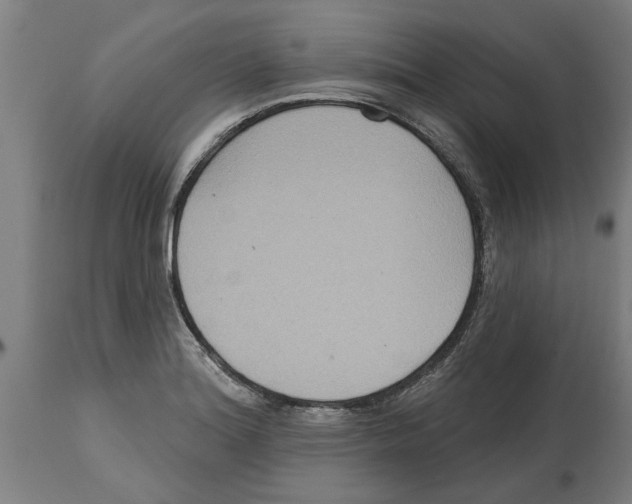 X0000114721180200911181357