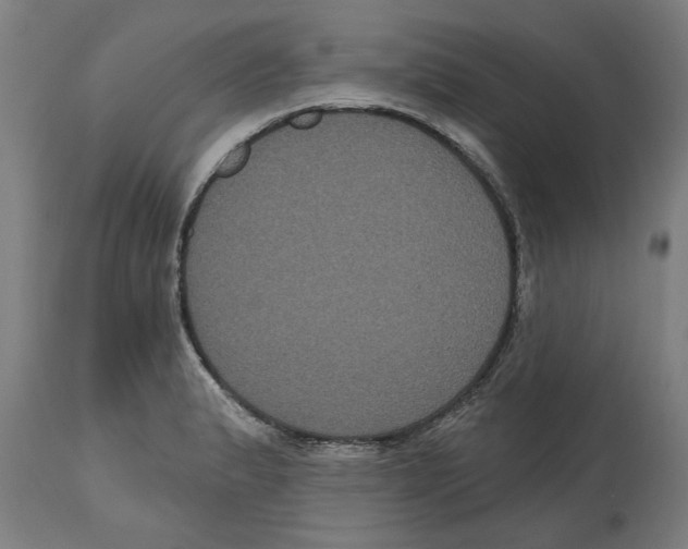 X0000114721183200911181357