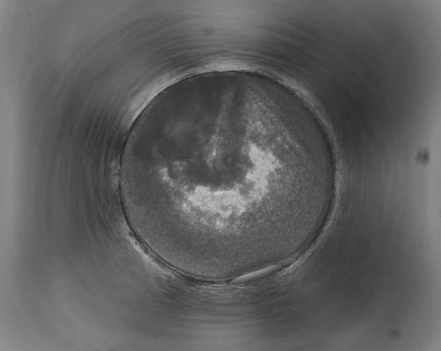 X0000114721185200911181357