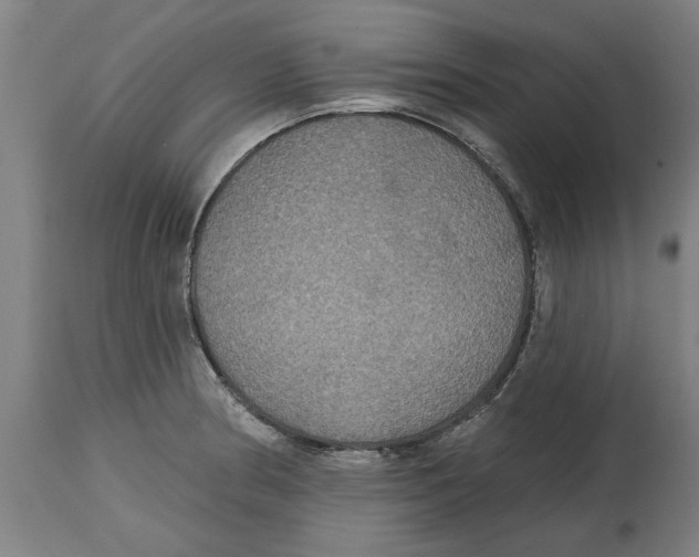 X0000114721186200911181357