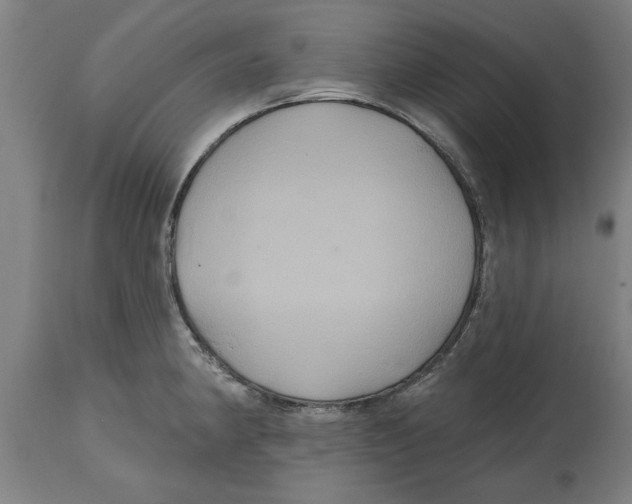 X0000114721190200911181357