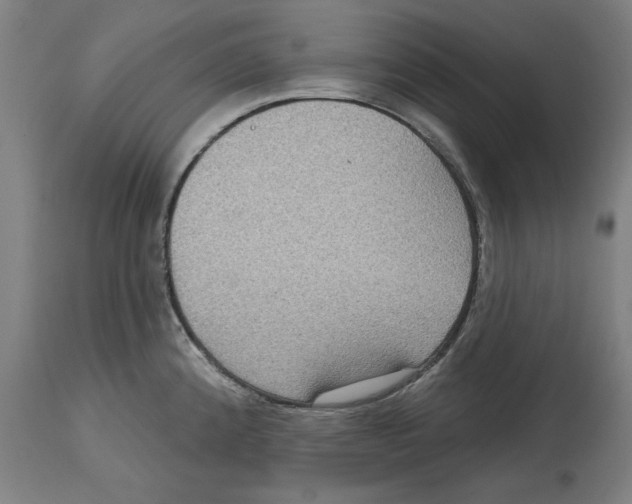 X0000114721192200911181357