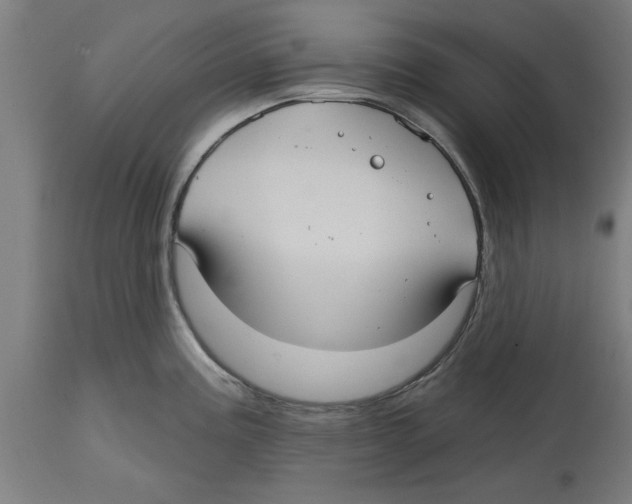 X0000114721195200911181357