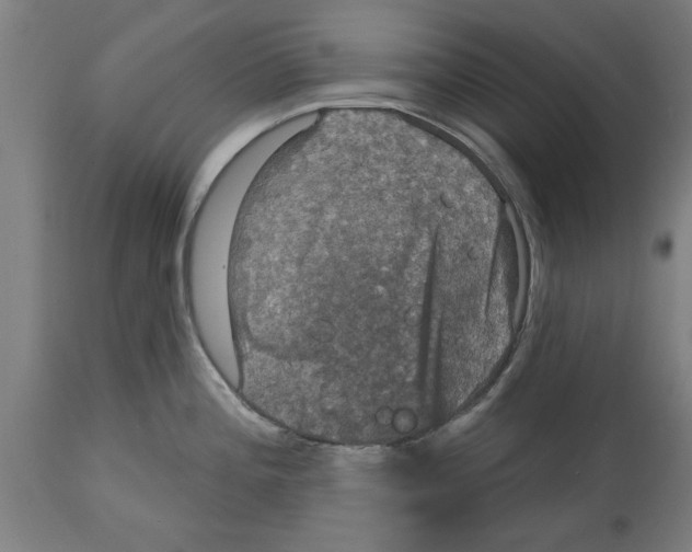 X0000114721196200911181357