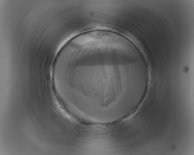 X0000114721198200911181357