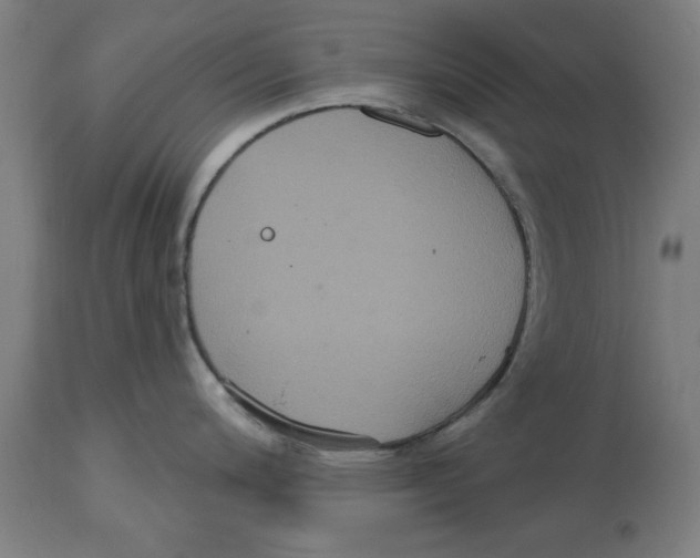 X0000114721200200911181357