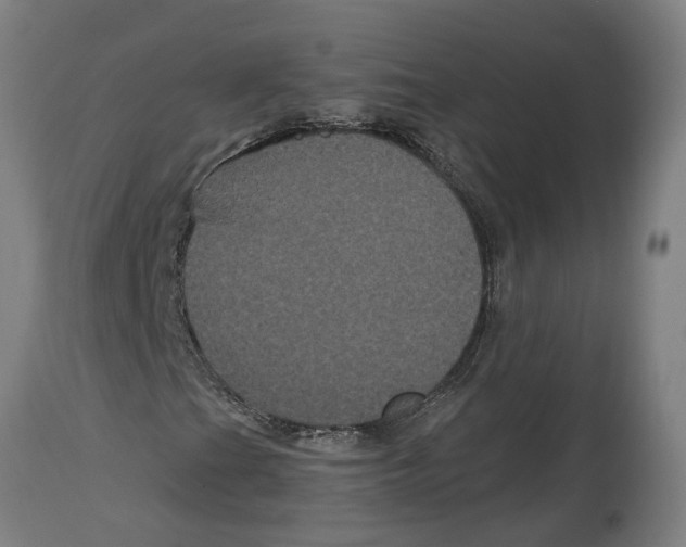 X0000114721201200911181356