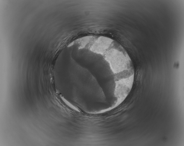 X0000114721202200911181356