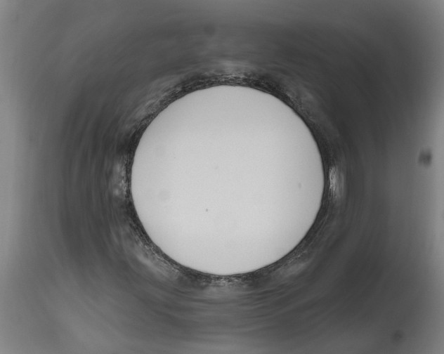 X0000114721203200911181356