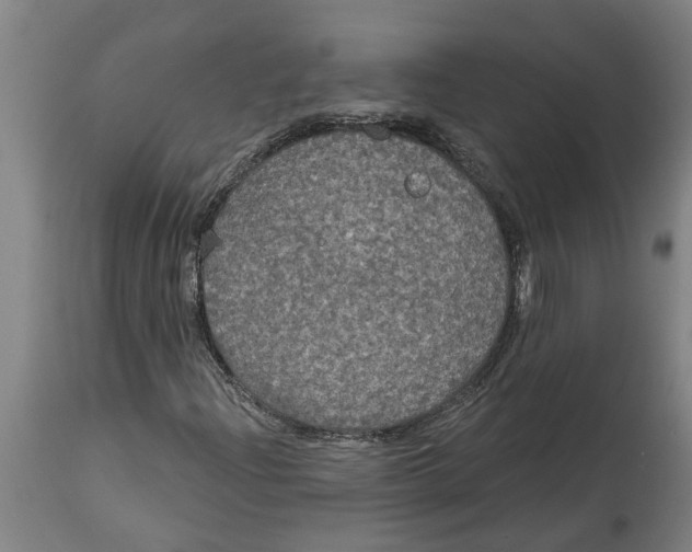 X0000114721204200911181356