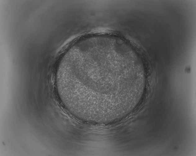 X0000114721206200911181356