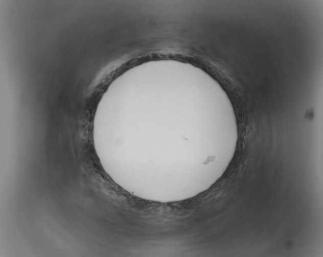 X0000114721207200911181356