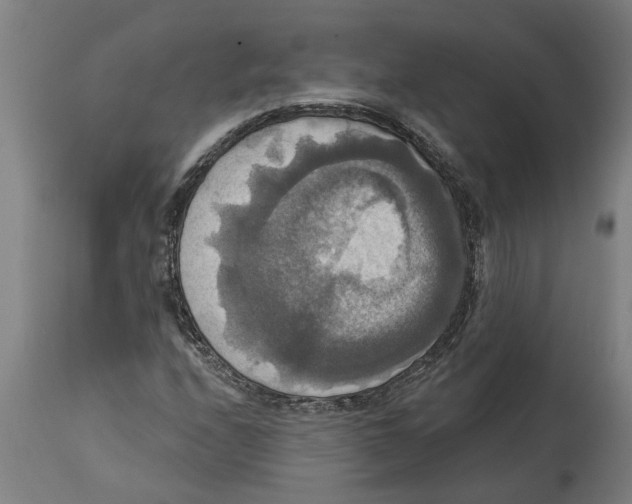 X0000114721208200911181356