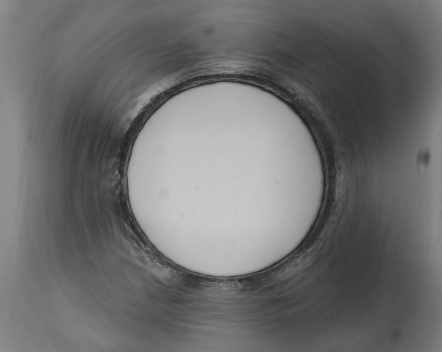 X0000114721210200911181356