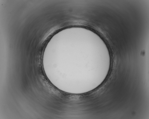 X0000114721211200911181356