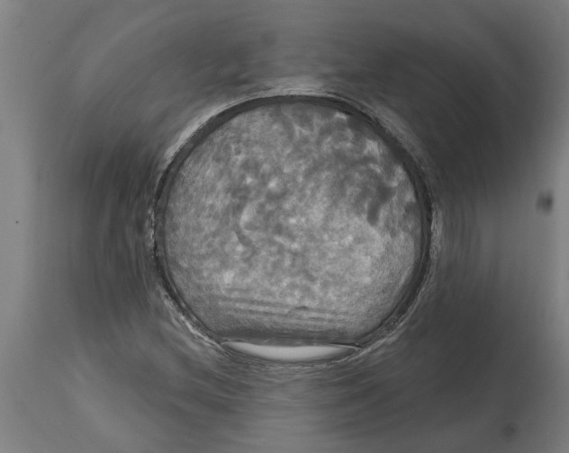 X0000114721212200911181356