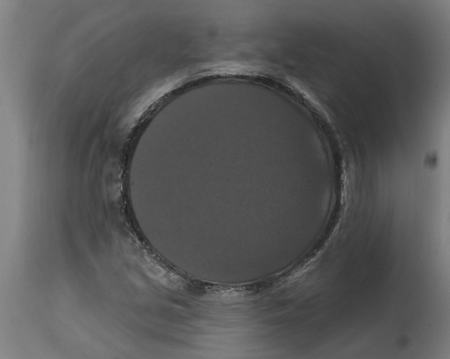 X0000114721213200911181356