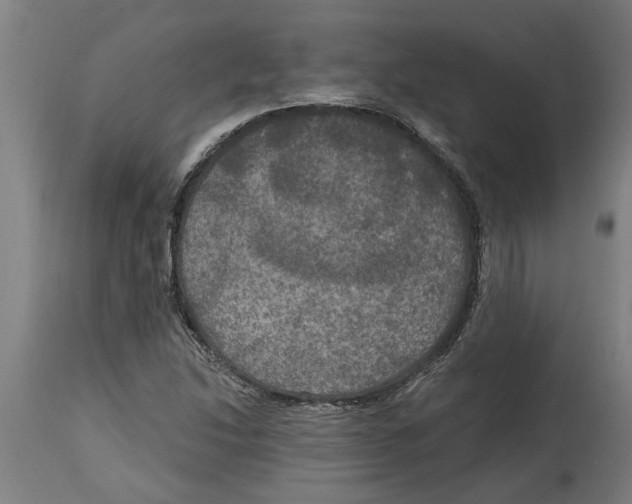 X0000114721214200911181356