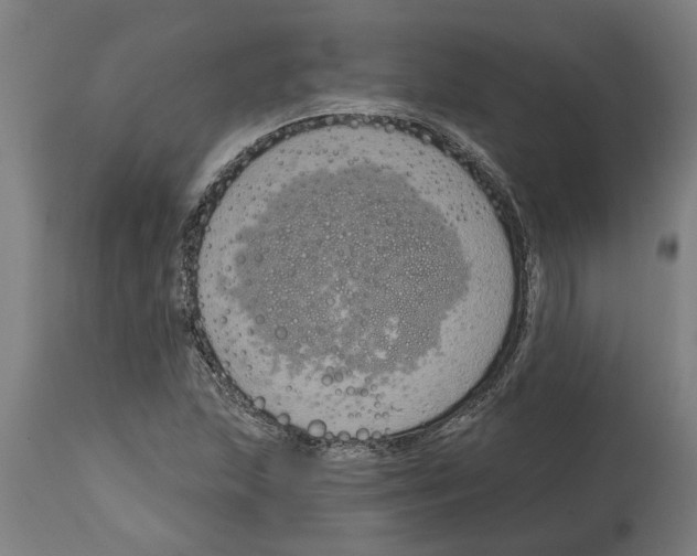 X0000114721215200911181356