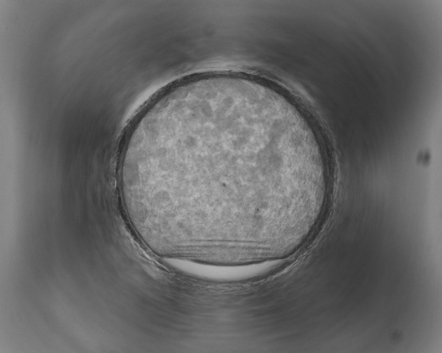 X0000114721216200911181356