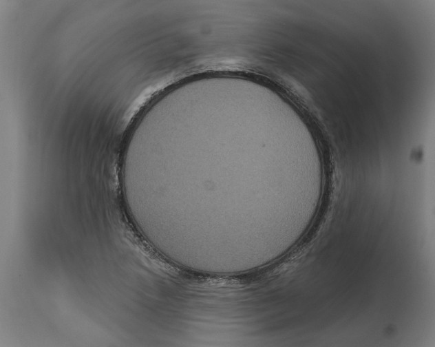 X0000114721218200911181356