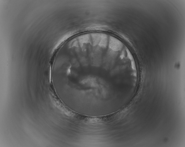 X0000114721219200911181356