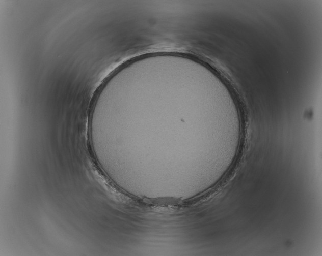 X0000114721220200911181356