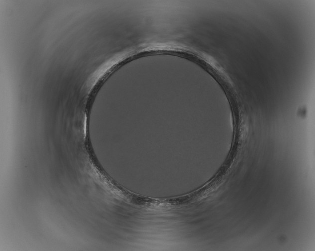 X0000114721221200911181356