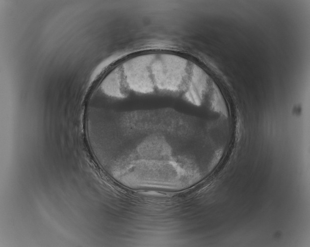 X0000114721222200911181356