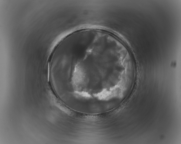 X0000114721223200911181356