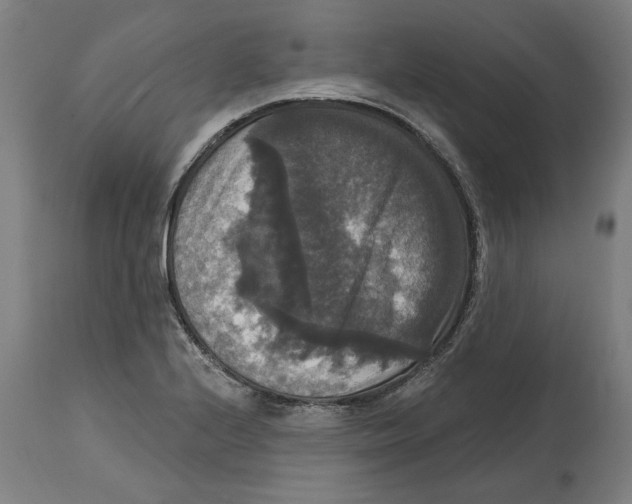 X0000114721224200911181356