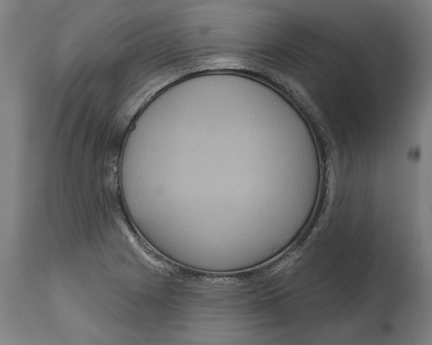 X0000114721225200911181356