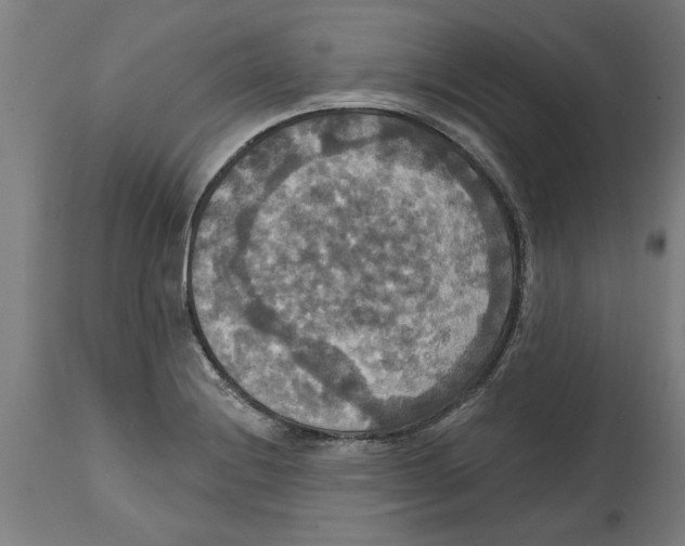 X0000114721228200911181356