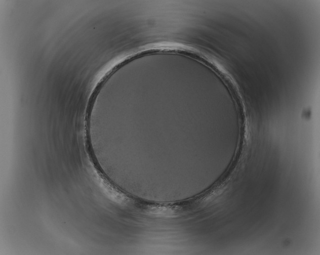 X0000114721229200911181356