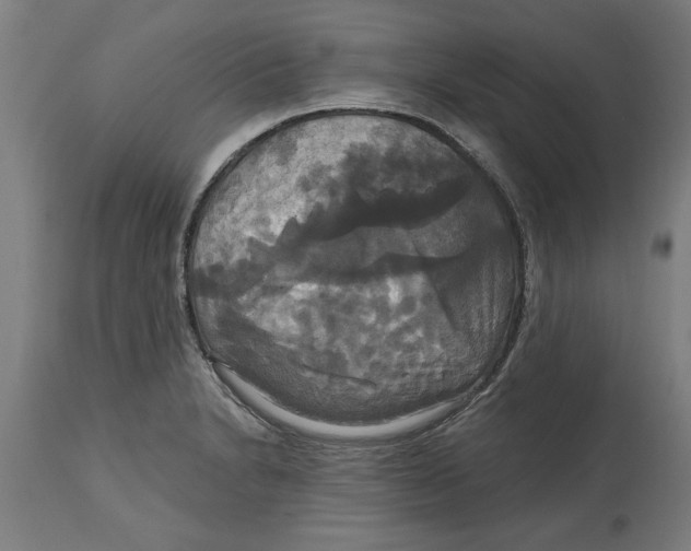 X0000114721230200911181356