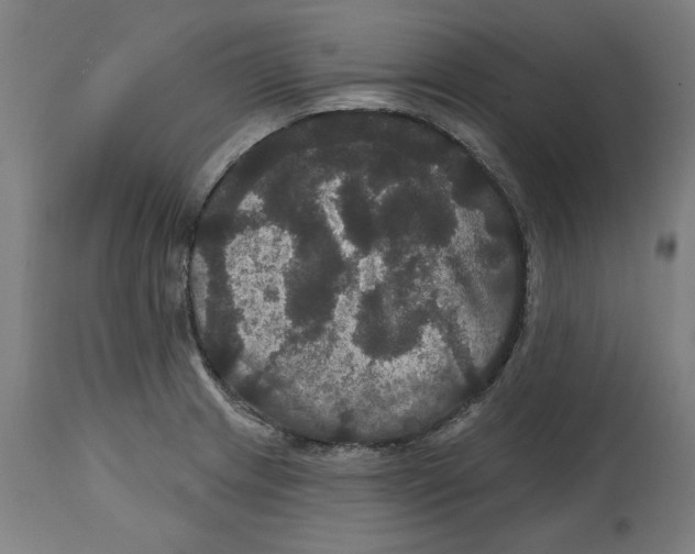 X0000114721233200911181356