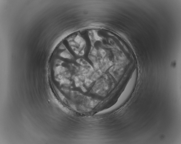 X0000114721235200911181357