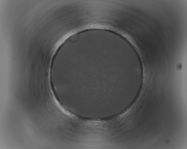 X0000114721237200911181357