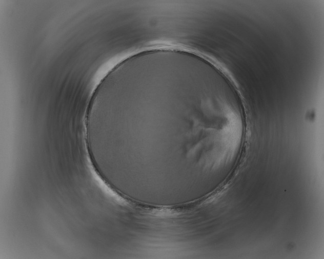 X0000114721239200911181357