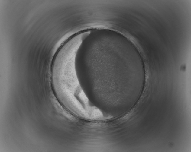 X0000114721240200911181357