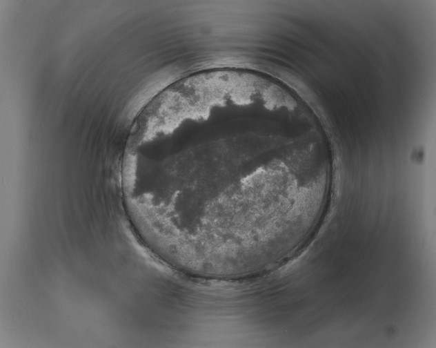 X0000114721241200911181357