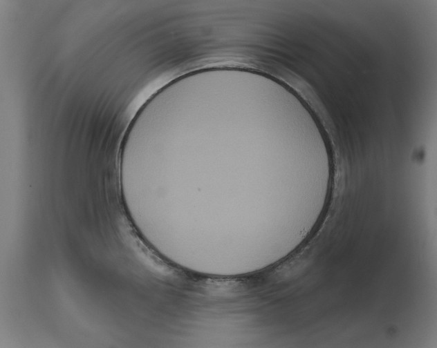 X0000114721242200911181357