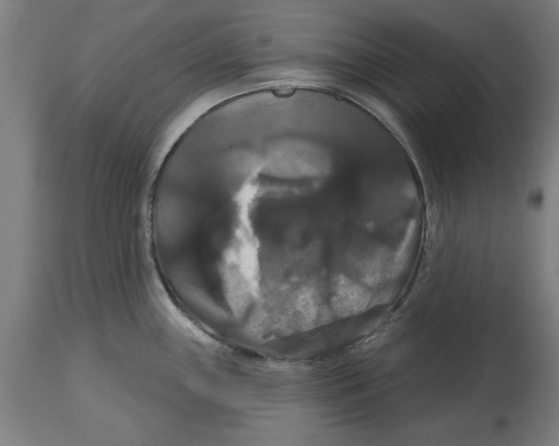 X0000114721243200911181357