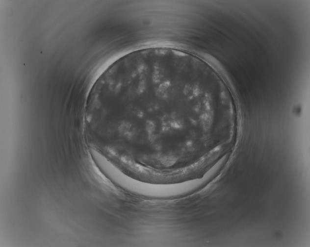 X0000114721244200911181357