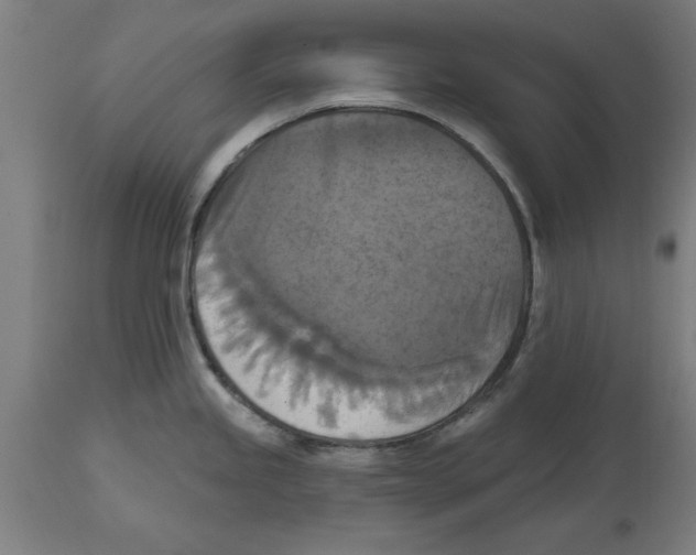 X0000114721245200911181357