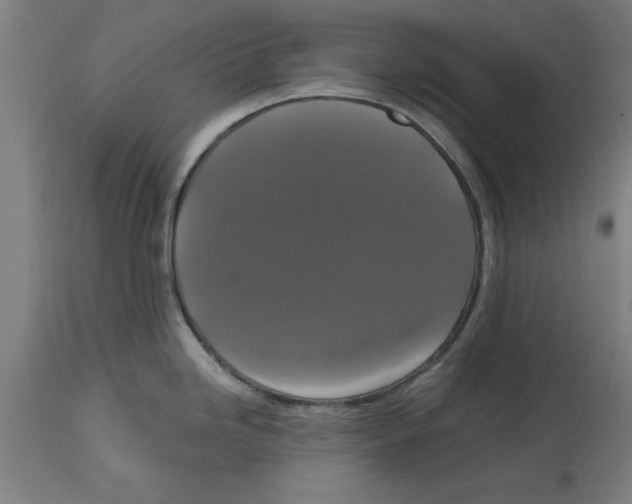 X0000114721246200911181357